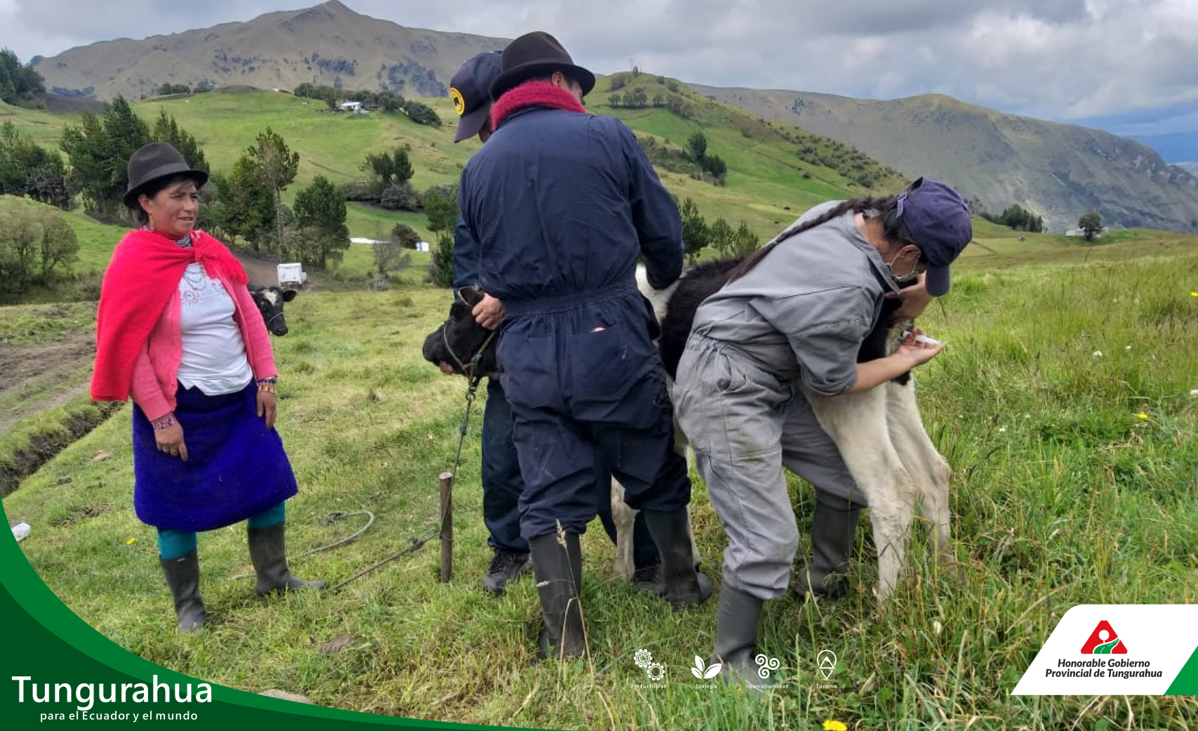 El Gobierno Provincial de Tungurahua promueve campañas de desparasitación con clínicas veterinarias